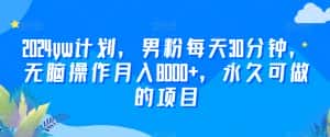 2024yw计划，男粉每天30分钟，无脑操作月入8000+，永久可做的项目-优优云创网