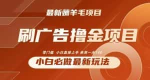 2024最新小白必撸项目,刷广告撸金最新玩法,亲测一天140-优优云创网