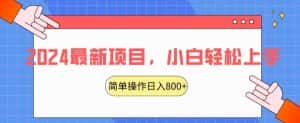 2024最新项目,红娘项目,简单操作轻松日入800+-优优云创网