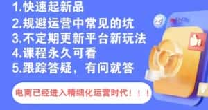 文西电商课程,规避运营中常见的坑-优优云创网