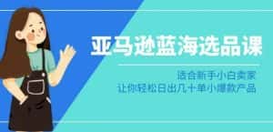 亚马逊-蓝海选品课:适合新手小白卖家,让你轻松日出几十单小爆款产品-优优云创网