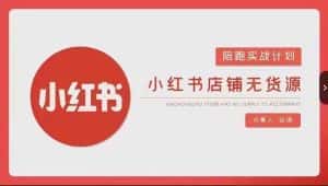 安琪-小红书店铺无货源实战,开店到售后全流程操作-优优云创网