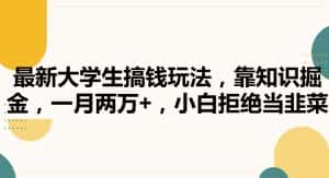 最新大学生搞钱玩法,靠知识掘金,一月两万+,小白拒绝当韭菜-优优云创网