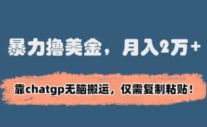 暴力撸美金，月入2万+！靠chatgp无脑搬运，仅需复制粘贴-优优云创网