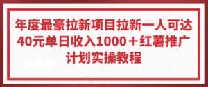 年度最豪拉新项目拉新一人可达40元单日收入1000+红薯推广计划实操教程-优优云创网