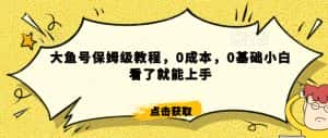 怎么样靠阿里大厂撸金,背靠大厂日入2000+,大鱼号保姆级教程,0成本,0基础小白看了就能上手-优优云创网