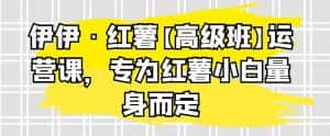 伊伊·红薯【高级班】运营课,专为红薯小白量身而定-优优云创网