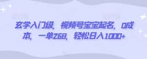 玄学入门级,视频号宝宝起名,0成本,一单268,轻松日入1000+-优优云创网