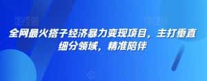 全网最火搭子经济暴力变现项目,主打垂直细分领域,精准陪伴-优优云创网