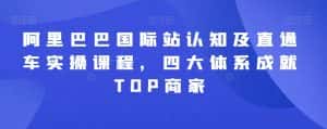 阿里巴巴国际站认知及直通车实操课程,四大体系成就TOP商家-优优云创网