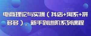 电商理论与实操(抖店+淘系+拼多多),新手到进阶系列课程-优优云创网