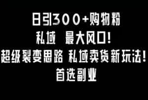 日引300+购物粉,超级裂变思路,私域卖货新玩法,小红书首选副业-优优云创网