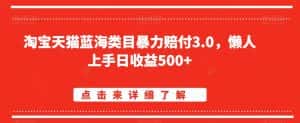 淘宝天猫蓝海类目暴力赔付3.0，懒人上手日收益500+【仅揭秘】-优优云创网