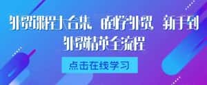 外贸课程大合集,0到1学外贸,新手到外贸精英全流程-优优云创网