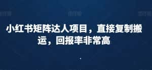 小红书矩阵达人项目,直接复制搬运,回报率非常高-优优云创网