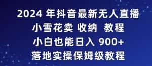 2024年抖音最新无人直播小雪花卖收纳教程,小白也能日入900+落地实操保姆级教程-优优云创网