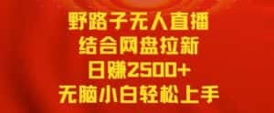 野路子无人直播结合网盘拉新,日赚2500+,小白无脑轻松上手-优优云创网