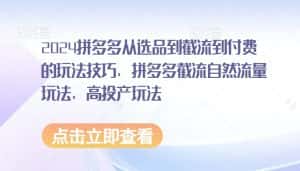 2024拼多多从选品到截流到付费的玩法技巧,拼多多截流自然流量玩法,高投产玩法-优优云创网