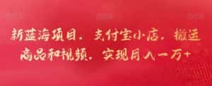 新蓝海项目,支付宝小店,搬运商品和视频,实现月入一万+-优优云创网