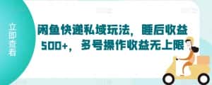 闲鱼快递私域玩法，睡后收益500+，多号操作收益无上限-优优云创网