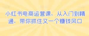 小红书电商运营课,从入门到精通,带你抓住又一个赚钱风口-优优云创网