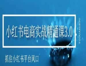 小红书电商实战精通课3.0,抓住小红书平台的风口,不错过有一个赚钱的机会-优优云创网