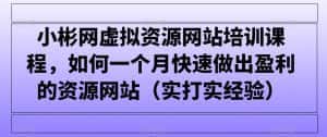 小彬网虚拟资源网站培训课程,如何一个月快速做出盈利的资源网站(实打实经验)-优优云创网