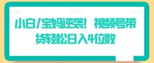 小白/宝妈逆袭!视频号带货轻松日入4位数-优优云创网