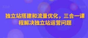 独立站搭建和流量优化,三合一课程解决独立站运营问题-优优云创网