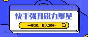 信息差赚钱项目，快手强开磁力聚星，一单20，日入200+-优优云创网