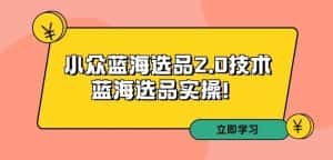 拼多多培训第33期:小众蓝海选品2.0技术-蓝海选品实操!-优优云创网