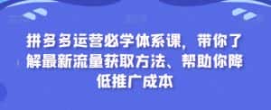 拼多多运营必学体系课,带你了解最新流量获取方法、帮助你降低推广成本-优优云创网
