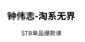 淘系无界STB单品爆款课(2024),付费带动免费的核心逻辑,万相台无界关键词推广/精准人群的核心-优优云创网