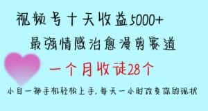 十天收益5000+,多平台捞金,视频号情感治愈漫剪,一个月收徒28个,小白一部手机轻松上手-优优云创网