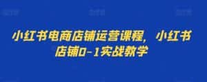 小红书电商店铺运营课程,小红书店铺0-1实战教学-优优云创网