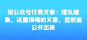 某公众号付费文章:难以想象,这篇狠辣的文章,居然能公开出来-优优云创网