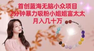首创蓝海无脑小众项目,2分钟暴力吸粉小姐姐富太太,月入几十万-优优云创网
