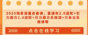 2023淘系流量必备课,直通车2.0进阶+引力魔方2.0进阶+引力魔方系统课+万象台系统课等-优优云创网