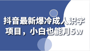抖音最新爆冷成人识字项目，小白也能月5w-优优云创网