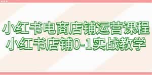 (9249期)小红书电商店铺运营课程,小红书店铺0-1实战教学(60节课)-优优云创网