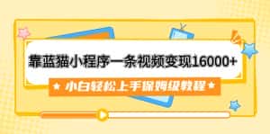 (7595期)靠蓝猫小程序一条视频变现16000+小白轻松上手保姆级教程(附166G资料素材)-优优云创网