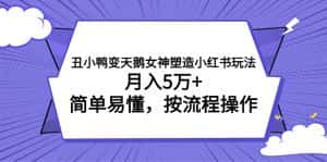 (7604期)丑小鸭变天鹅女神塑造小红书玩法,月入5万+,简单易懂,按流程操作-优优云创网