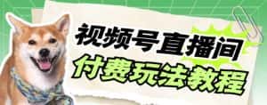 （7660期）视频号美女付费无人直播，轻松日入500+【详细玩法教程】-优优云创网