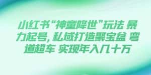 (7673期)小红书“神童降世”玩法 暴力起号,私域打造聚宝盆 弯道超车 实现年入几十万-优优云创网