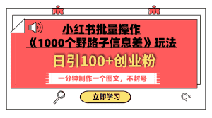 （7676期）小红书批量操作《1000个野路子信息差》玩法 日引100+创业粉 一分钟一个图文-优优云创网