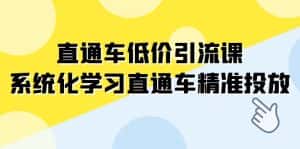 (7698期)直通车-低价引流课,系统化学习直通车精准投放(14节课)-优优云创网