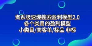 (7737期)淘系极速爆搜索盈利模型2.0,各个类目的盈利模型,小类目/高客单/标品 非标-优优云创网