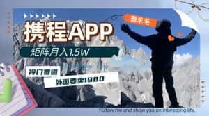 (7744期)携程APP薅羊毛,外面卖1980的冷门赛道,矩阵月入1.5w-优优云创网
