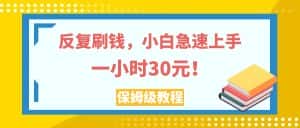 （7751期）反复刷钱，小白急速上手，一个小时30元，实操教程。-优优云创网