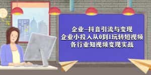 （7761期）企业-抖音引流与变现：企业小投入从0到1玩转短视频  各行业知视频变现实战-优优云创网